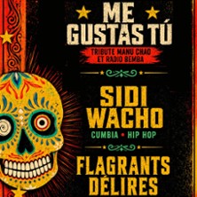 FLAGRANTS DELIRES + ME GUSTAS TU Tribute Manu Chao