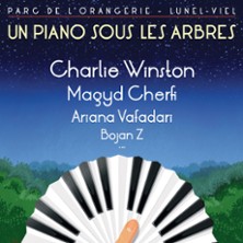 Charlie Winston - Festival un Piano sous les Arbres
